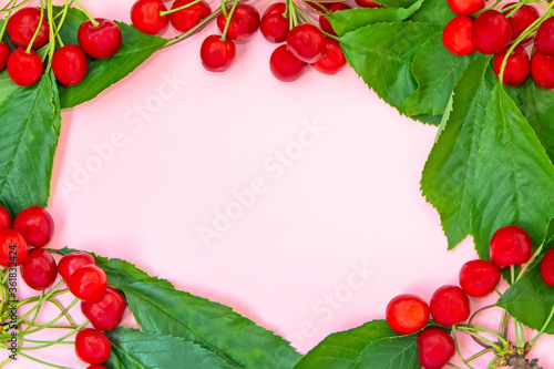 Cherry branches with berries and leaves laid out in the form of a frame on a pink background. Summer concept. Flat lay