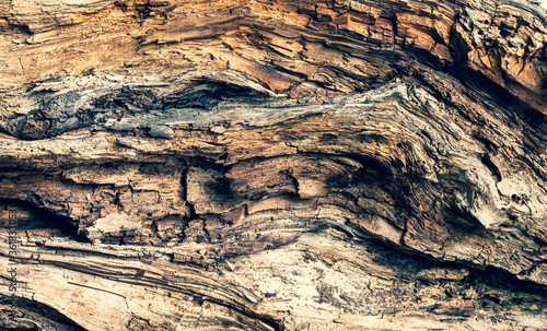 Holz02072020