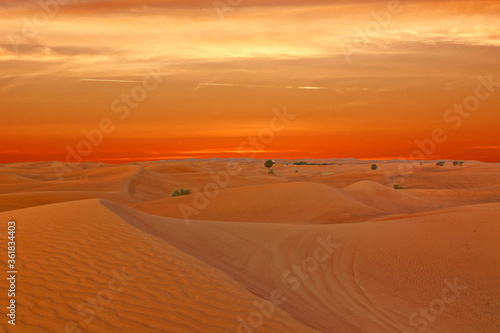 Sunset panorama of sand desert picturesque landscape  United Arab Emirates  Dubai.