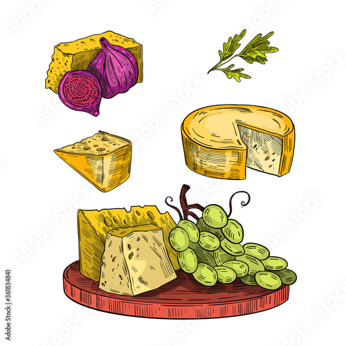 Cheese plate vintage hand drawn illustration with board, camembert, fig, green grape, parmesan. Engraving Italian food collection isolated on white. Vector clipart for labels, logos, packages