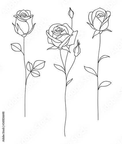 Set of decorative hand drawn roses isolated on white. Flower icon. Vector illustration