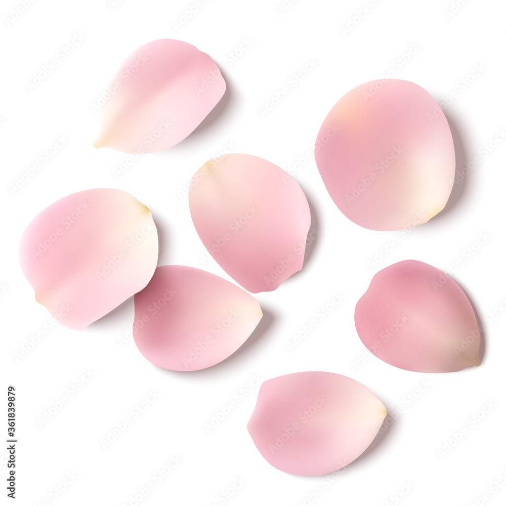 Decorative realistic rose petals with shadow isolated on white. Vector illustration.