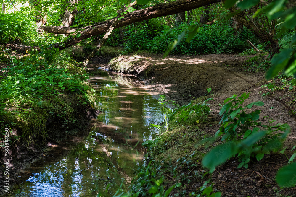 Stream running through Cuckoo woods in Sandling near Maidstone in Kent, England