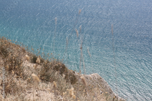 sea coast in the summer