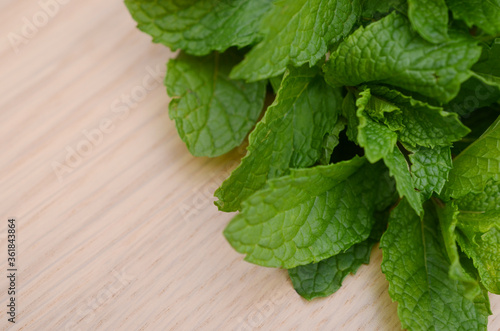 bunch mint hearb on wooden board photo