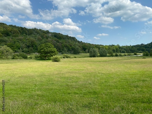 Meadow land, with plants and trees in the distance, opposite Kilnsey Crag, Grassington, UK