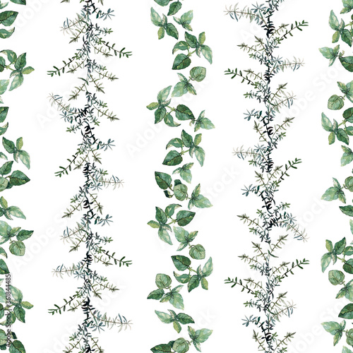 Seamless watercolor painted pattern of green basil and rosemary garlands isolated on white. For wallpaper  wrapping paper  textile  stationary  packaging and all types of surface design.