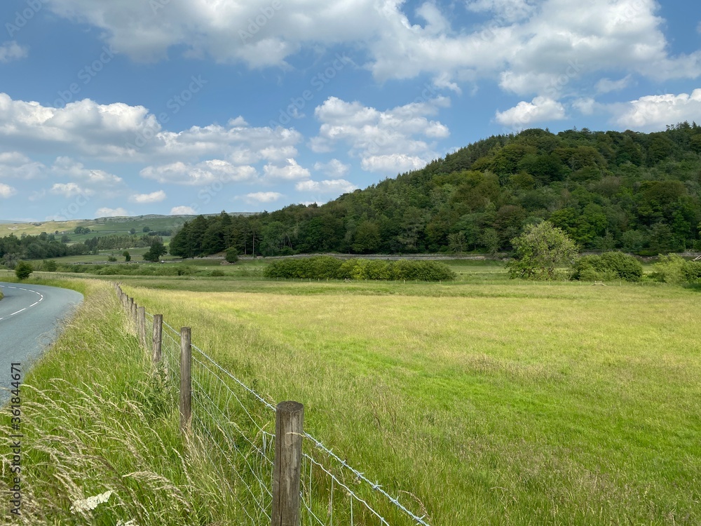 Fields and trees next to the road in, Kilnsey, Skipton, Uk