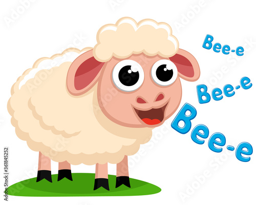 A sheep stands on the grass and smiles on a white