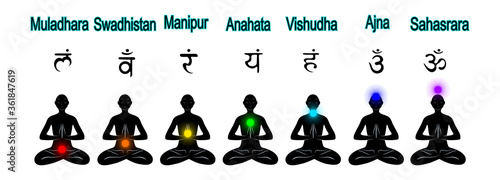 Chakra system - Muladhara, Svadhisthana, Manipura, Anahata, Vishuddha, Ajna, Sahasrara, used in Yoga, Ayurveda, Hinduism. Asana padmasana . Vector