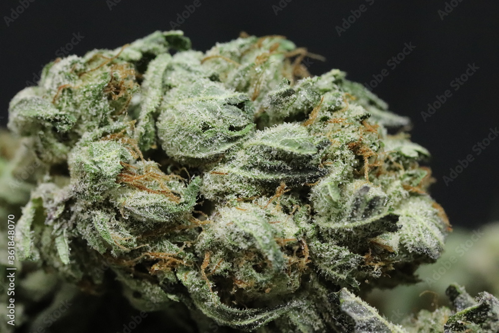 OG Kush OG Kush