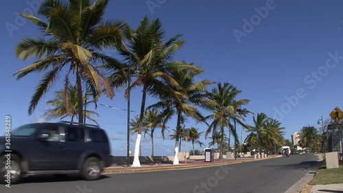 San Juan palm trees by the beach and car passing by the road.Exploring San Juan. photo