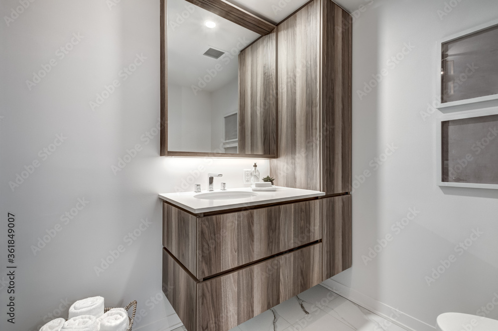 Obraz premium Brand new luxury Canadian style furnished and staged apartment in condominium with kitchen, bathroom, bedroom, lobby, hall, reception room and gym