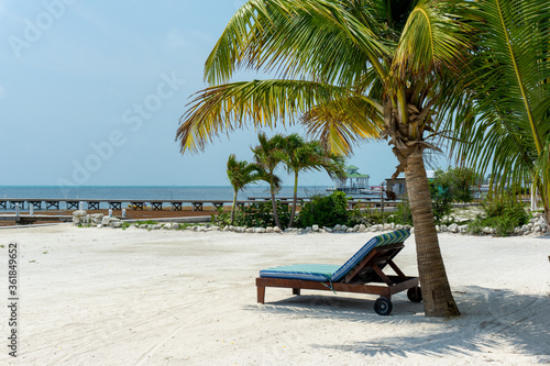 recliner un palm tree on beach in Belize © &Co Stock Images