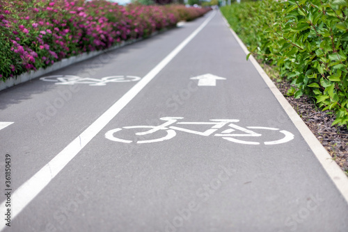 Wallpaper Mural Sign of a Bicycle path on a road in a park, shallow depth of field. Torontodigital.ca