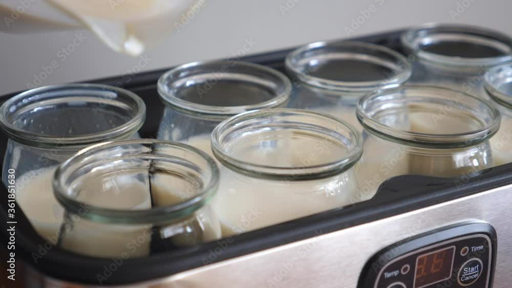 Making Homemade Vegan Yogurt From Soy Milk In Yogurt Maker. Making Homemade Vegan Yogurt From Soy Milk In Yogurt Maker.