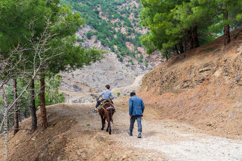 Child riding a donkey. March 25, 2020 Tokat, Turkey