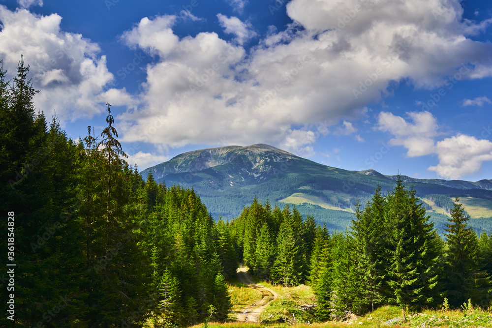 Blue sky over the peak of the mountain and a road in the forest with fir trees