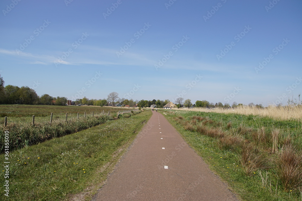 Pasture landscape in North Holland. Bike path through the meadows with cyclists in the distance from the Dutch city of Alkmaar to the village of Bergen. Spring, Netherlands, April 23, 2020.