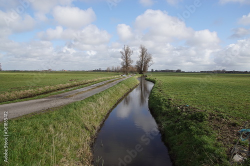 Pasture landscape in march in North Holland near the Dutch village of Bergen. Meadows, farms and ditch. The Netherlands, March 9, 2020. 