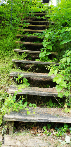 staircase overgrown with grass