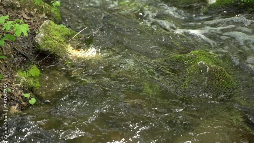 flowing mountain water in the forest flowing mountain water in the forest
