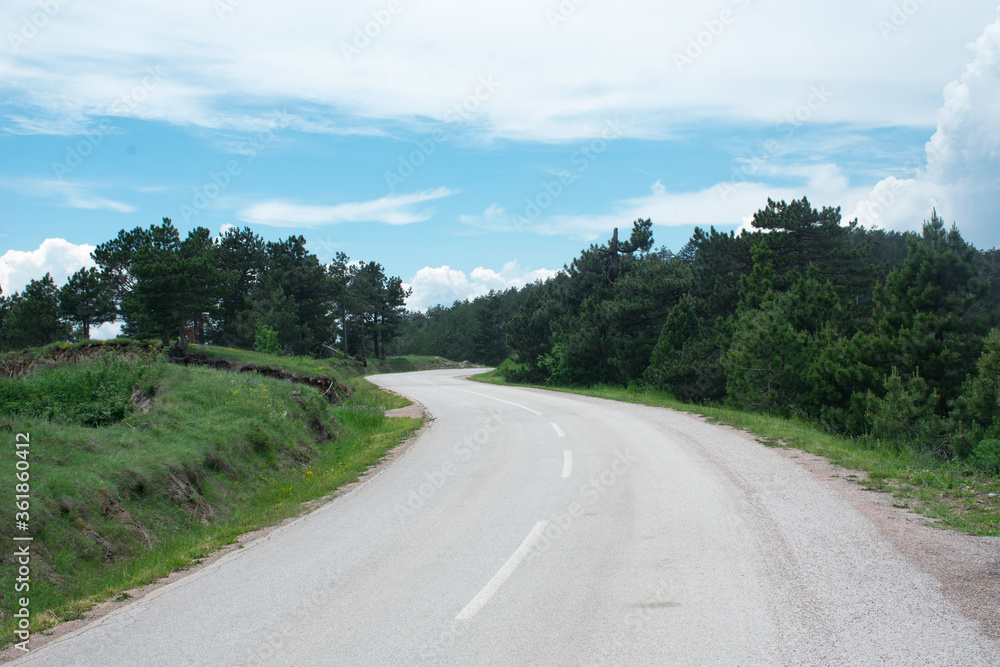 Empty mountain asphalt road. Nature wallpaper. Road surrounded by green forest.
