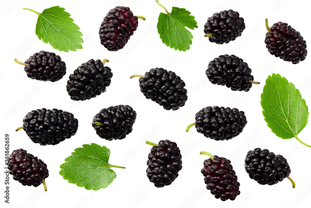 Mulberry berry with leaf isolated on white background. flat lay. top view Mulberry berry with leaf isolated on white background. flat lay. top view