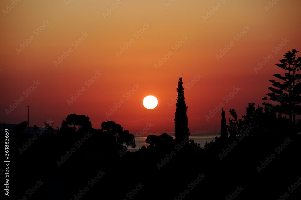Silhouette landscape with sunrise over trees and sea