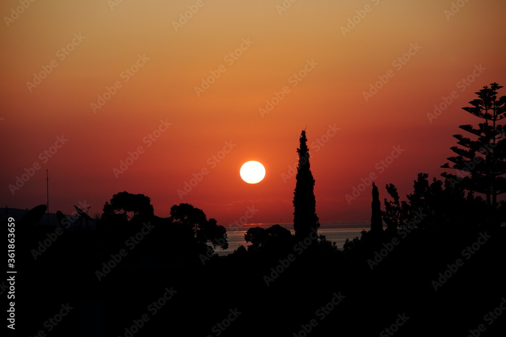 Silhouette landscape with sunrise over trees and sea Silhouette landscape with sunrise over trees and sea