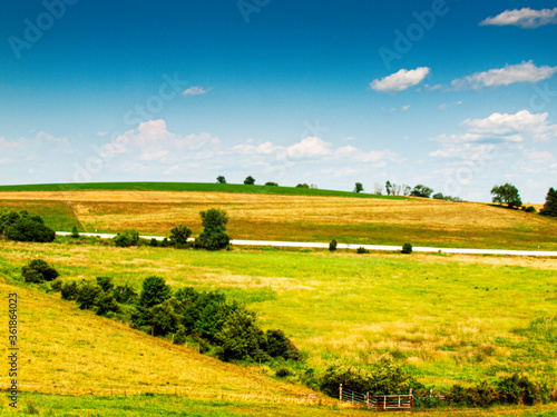summer landscape with green field and blue sky © brelsbil