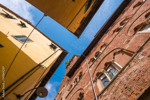 Guinigi tower from below in Lucca, Tuscany, Italy photo