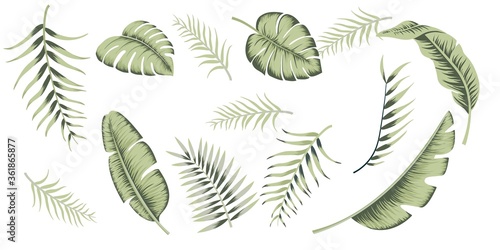 Vintage collection tropical leaves for wallpaper design. Exotic  wedding floral decoration.  Holiday decoration. Fashion print. Vintage background poster.