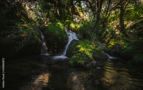 linda cachoeira natural na floresta
