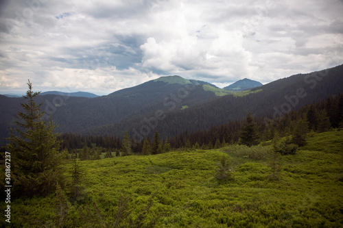 Landscape view of summer Alpine meadows of the high mountains © almostfuture