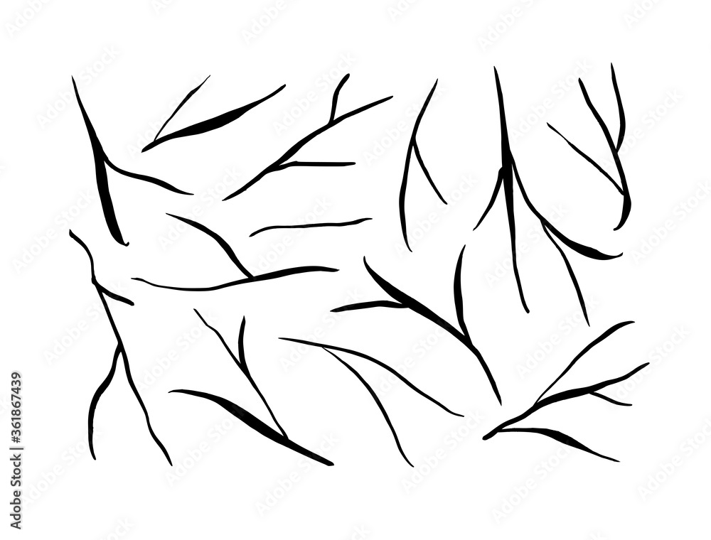 Black tree branches vector collection. Old dry winter tree branches isolated on white background. Black tree branches vector collection. Old dry winter tree branches isolated on white background.