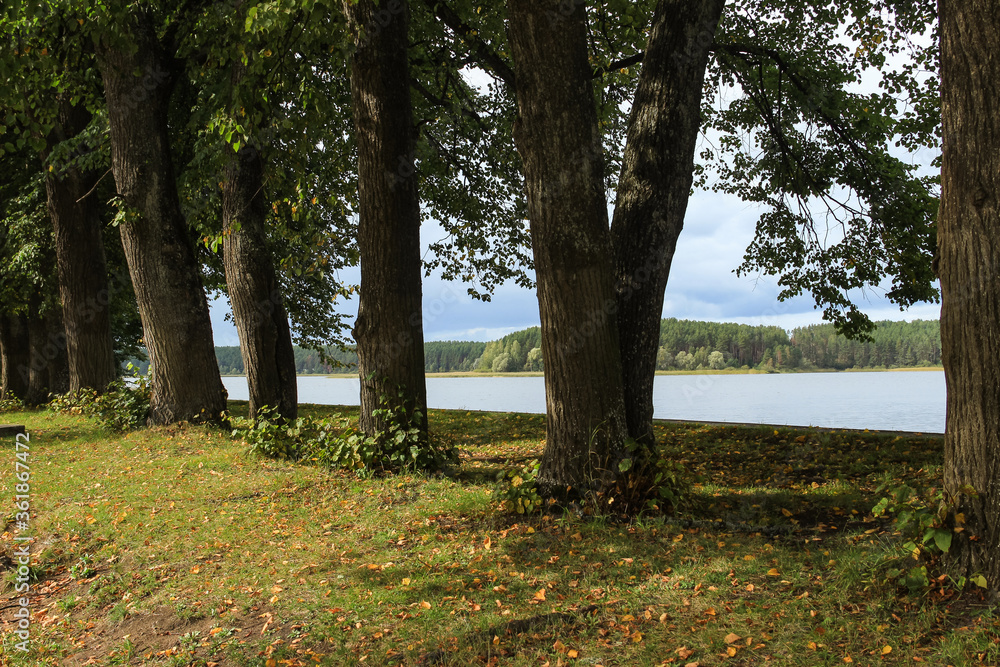 Beautiful landscape. View of lake through row of poplars. Beautiful landscape. View of lake through row of poplars.