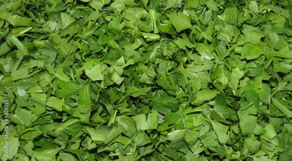 Bright green background made of chopped vegetation. Bright green background made of chopped vegetation.