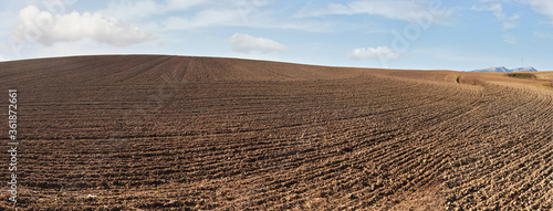 Obraz na plátne Regular ridge and furrow lines on empty field prepared in autumn, high resolutio