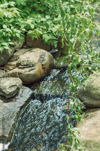 Babbling brook