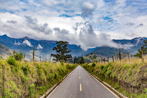 The Cocora Valley in rainy season, Colombia photo