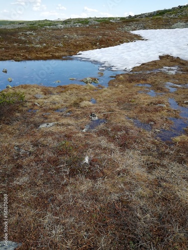 Norge