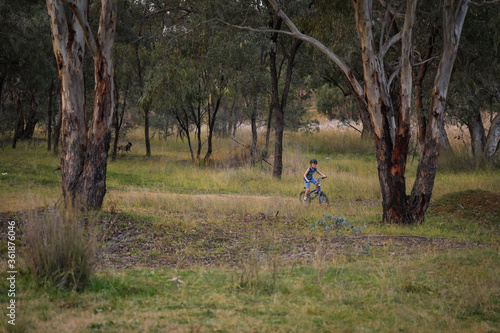Boy riding bike on bush track