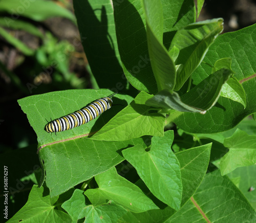 side catepillar cr2020darrelljbanks