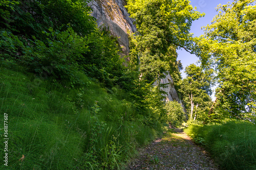 Premium hiking trail Seegang on Lake Constance