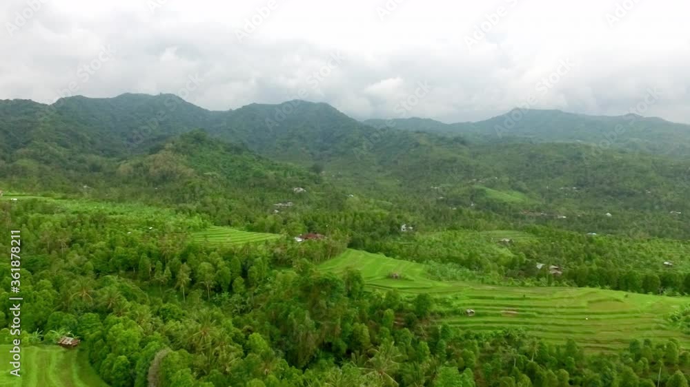 Beautiful aerial view of tropical jungle Beautiful aerial view of tropical jungle