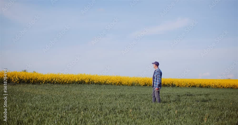 Agriculture Farmer Walking on Field. Agriculture Farmer Walking on Field.