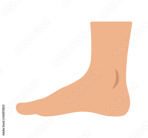Foot or podiatry profession flat vector color icon for apps and websites