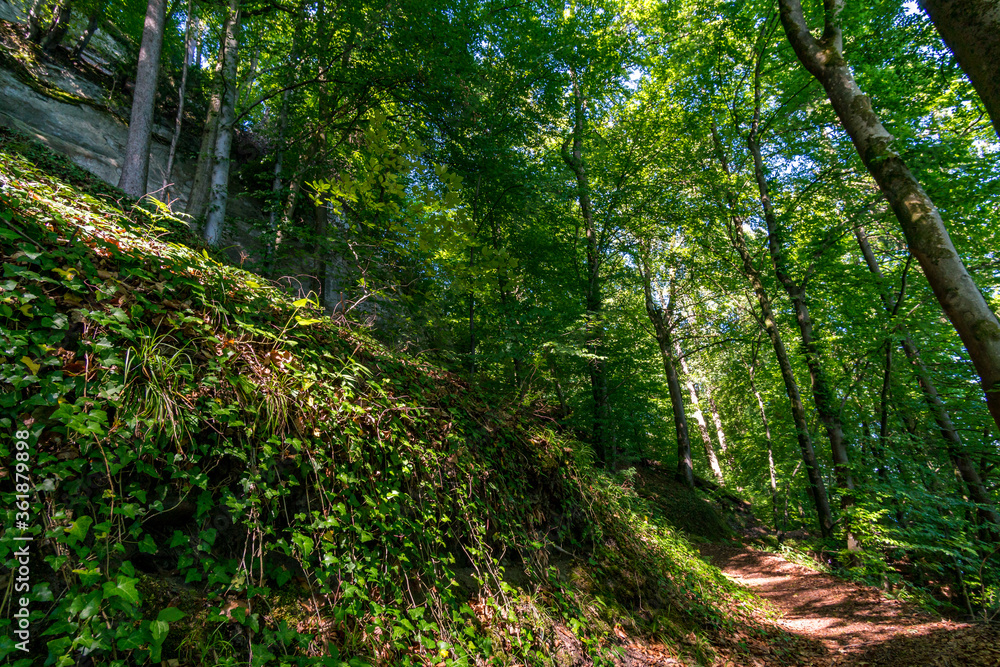 Premium hiking trail Seegang on Lake Constance Premium hiking trail Seegang on Lake Constance
