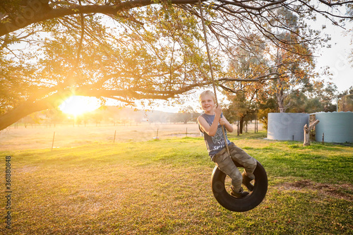 Happy little blonde boy playing and swinging on tire swing under chinese elm tree during vibrant sunset photo